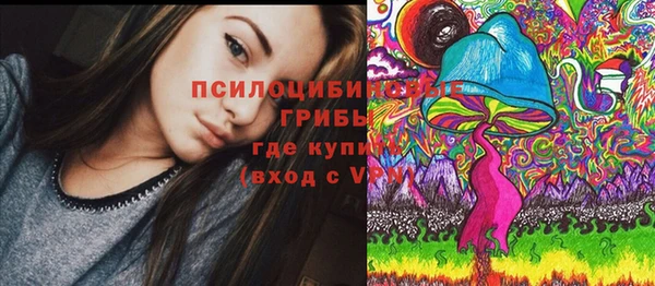 метадон Липки