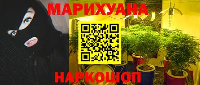 трава Партизанск