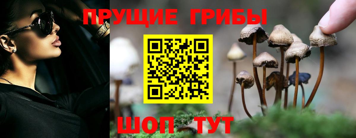 Карабулак  Галлюциногенные грибы ЛСД  Вход с VPN 